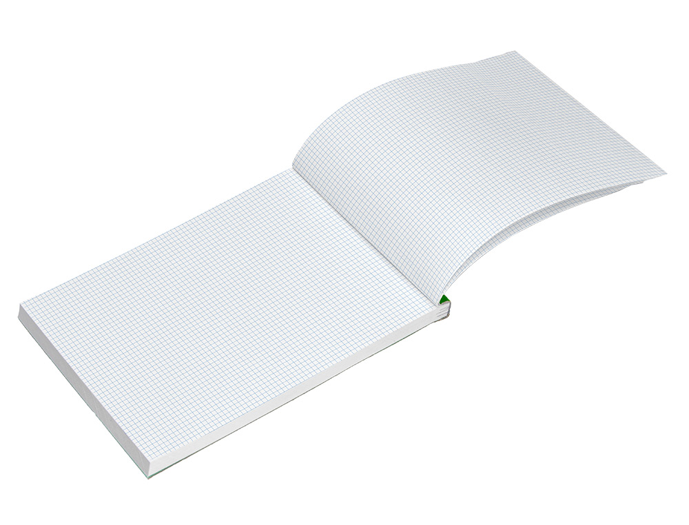 BLOC NOTAS LIDERPAPEL CUADRO 4 MM A4 80 HOJAS 60 G/M2 PERFORADO SIN TAPA